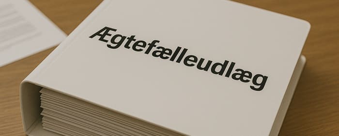 Ægtefælleudlæg